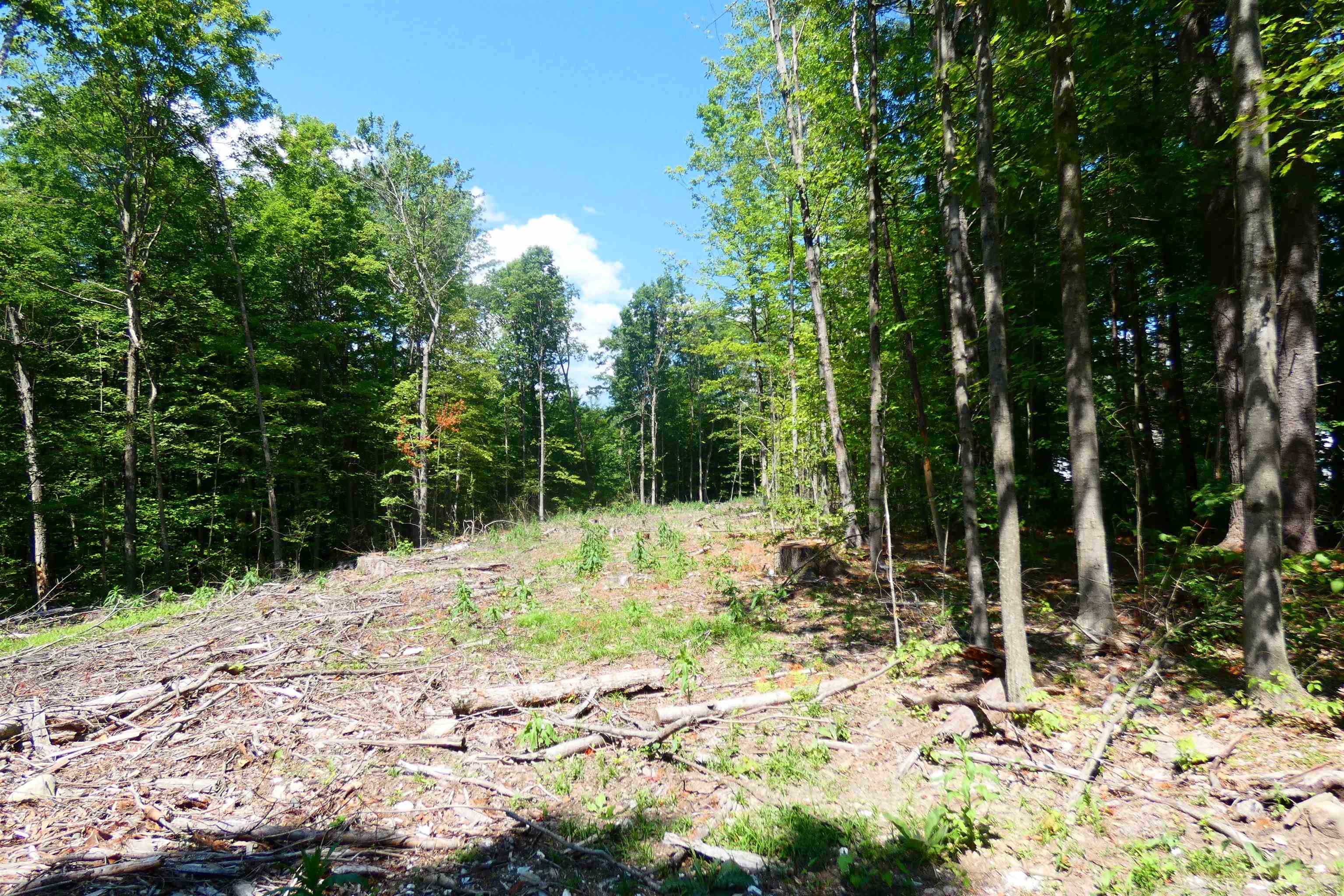 Tbd Lower Plains Road, Unit 4 Salisbury, VT 05769 - Photo 3 of 9