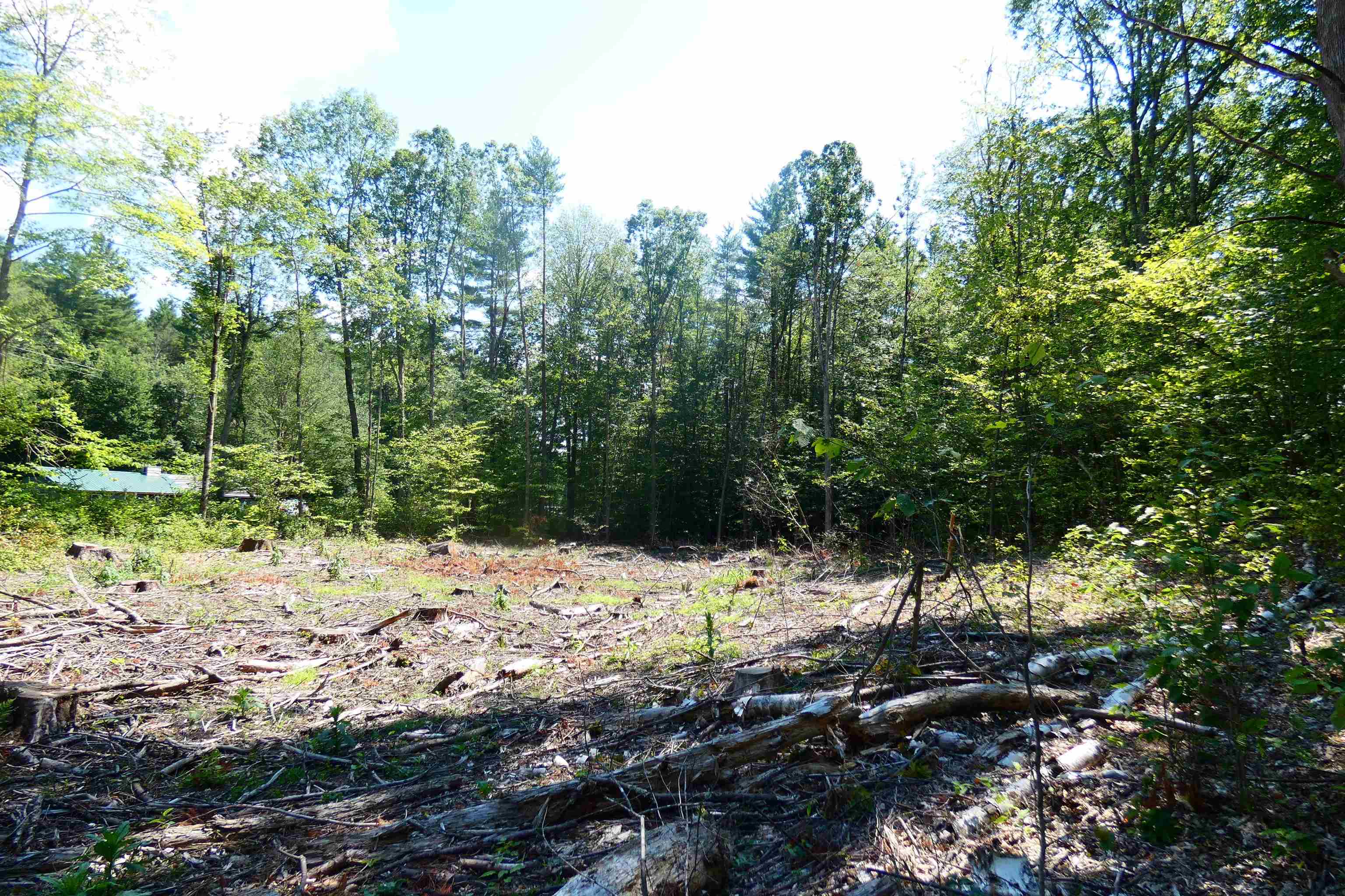 Tbd Lower Plains Road, Unit 4 Salisbury, VT 05769 - Photo 4 of 9
