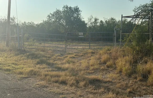 a view of a dry yard