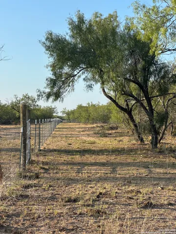 a view of a yard with an trees