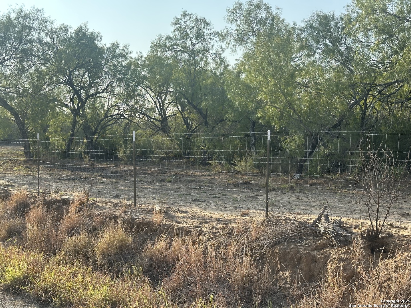 992 Jordan Encinal, TX 78019 - Photo 4 of 13 a view of a lake view