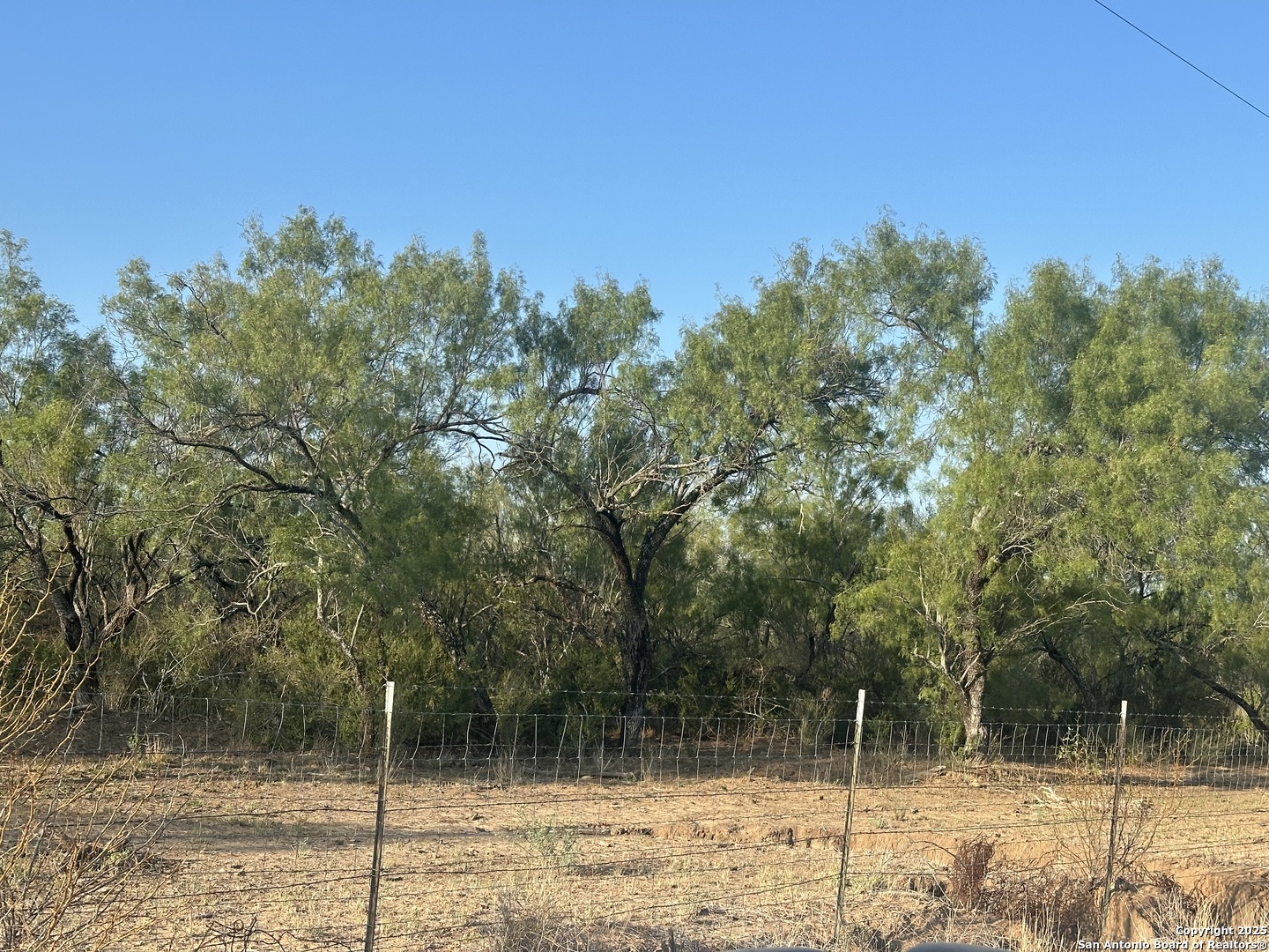 992 Jordan Encinal, TX 78019 - Photo 6 of 13 a view of a yard