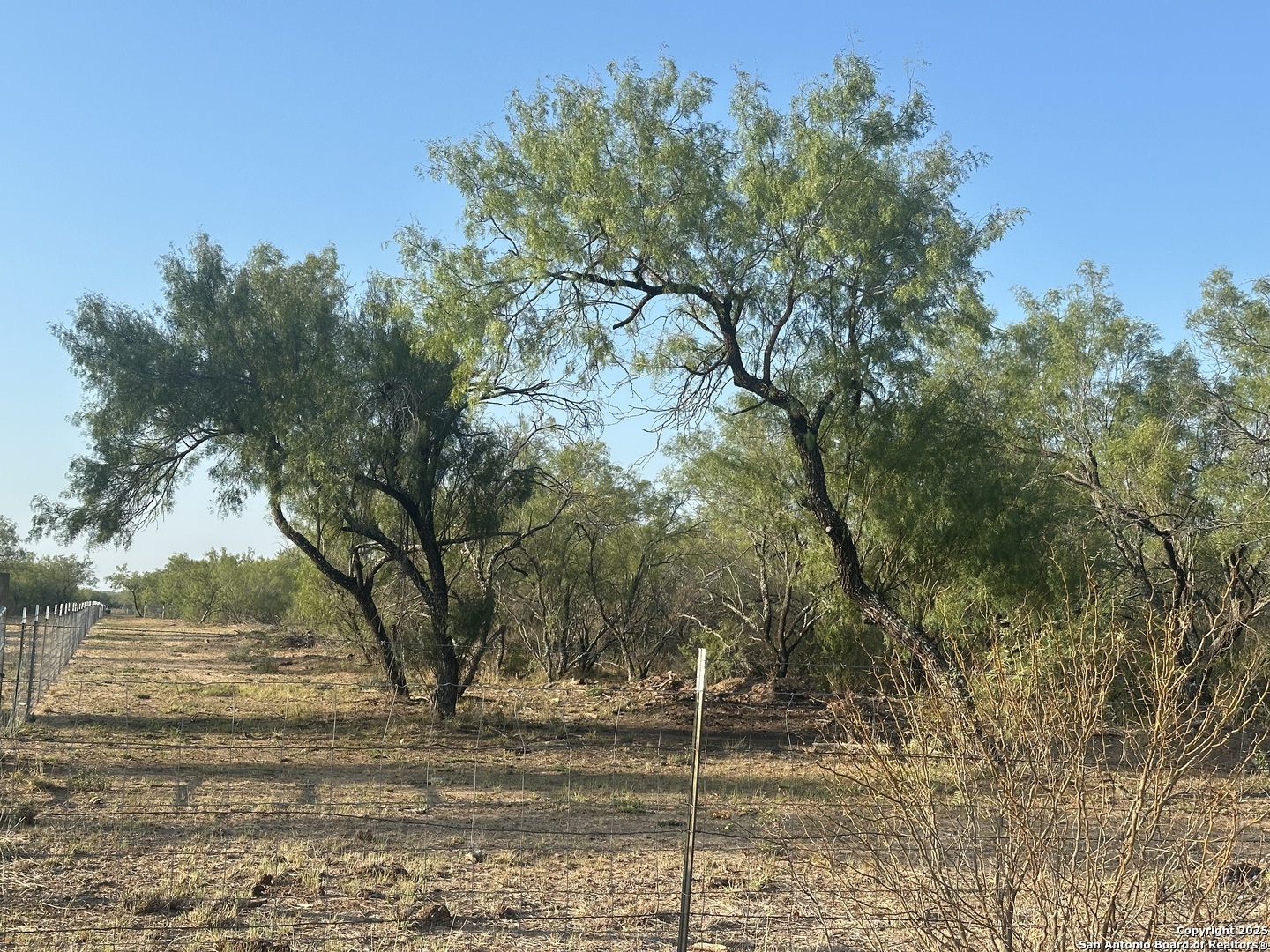 992 Jordan Encinal, TX 78019 - Photo 7 of 13 a backyard of a house with lots of green space