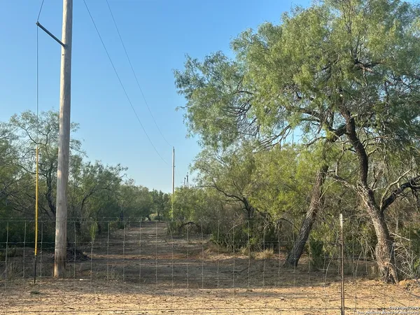 a view of a yard