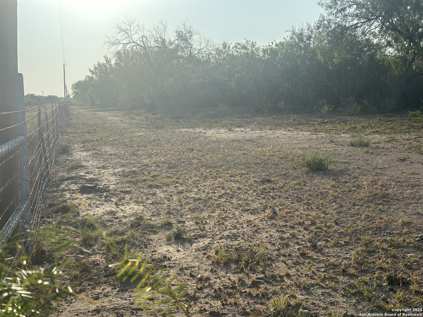 992 Jordan Encinal, TX 78019 - Photo 10 of 13 a view of a yard
