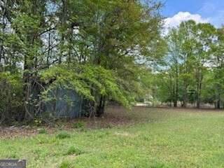0 Spring Street Warm Springs, GA 31830 - Photo 2 of 10 a view of outdoor space and yard