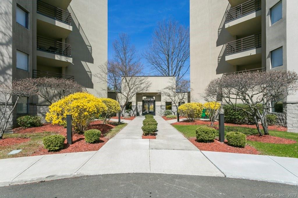 a view of a garden with an outdoor space