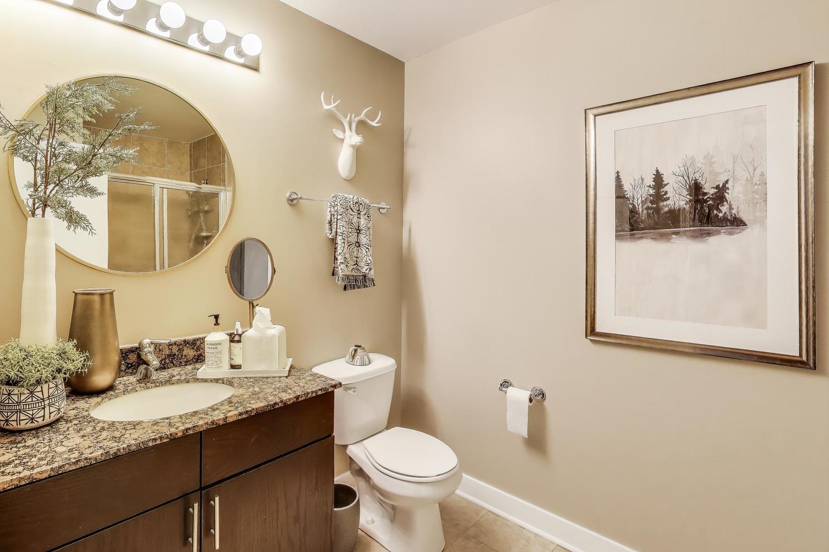 320 East 21st Street, Unit 501 Chicago, IL 60616 - Photo 13 of 22 a bathroom with a granite countertop toilet a sink and a mirror