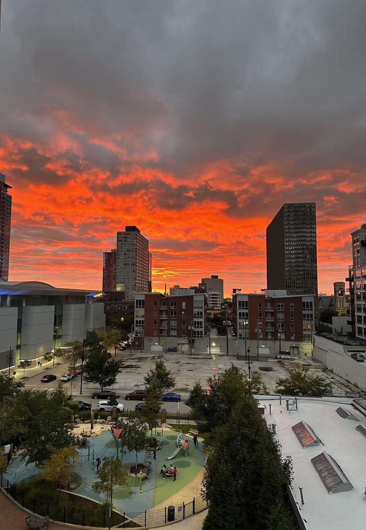 320 East 21st Street, Unit 501 Chicago, IL 60616 - Photo 19 of 22 a view of a city