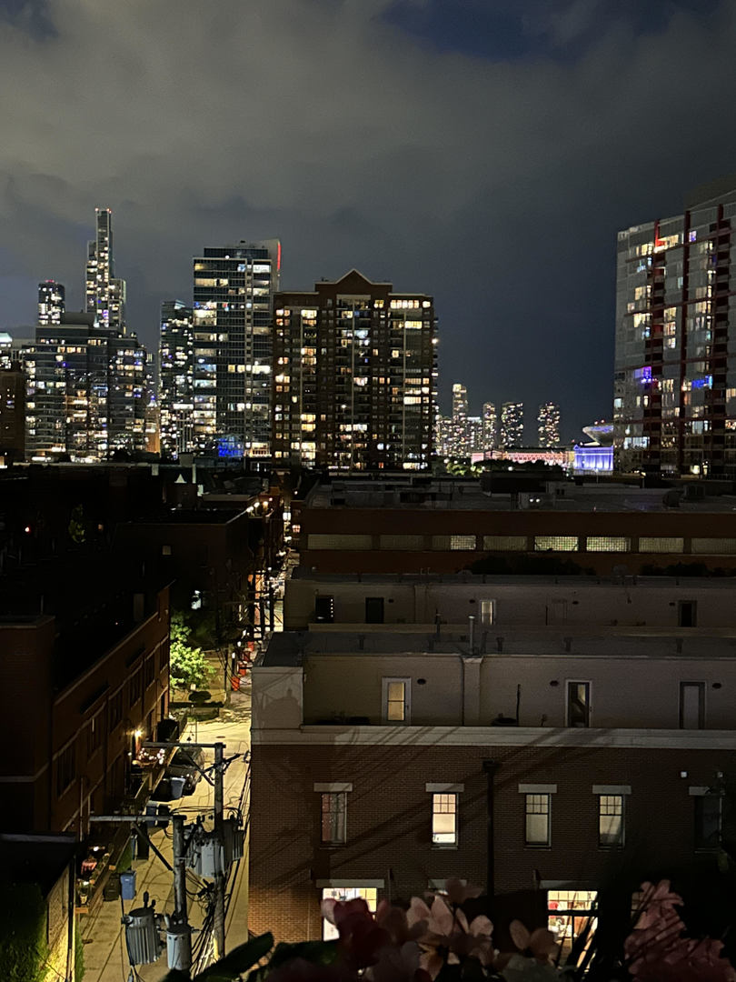 320 East 21st Street, Unit 501 Chicago, IL 60616 - Photo 21 of 22 a city view