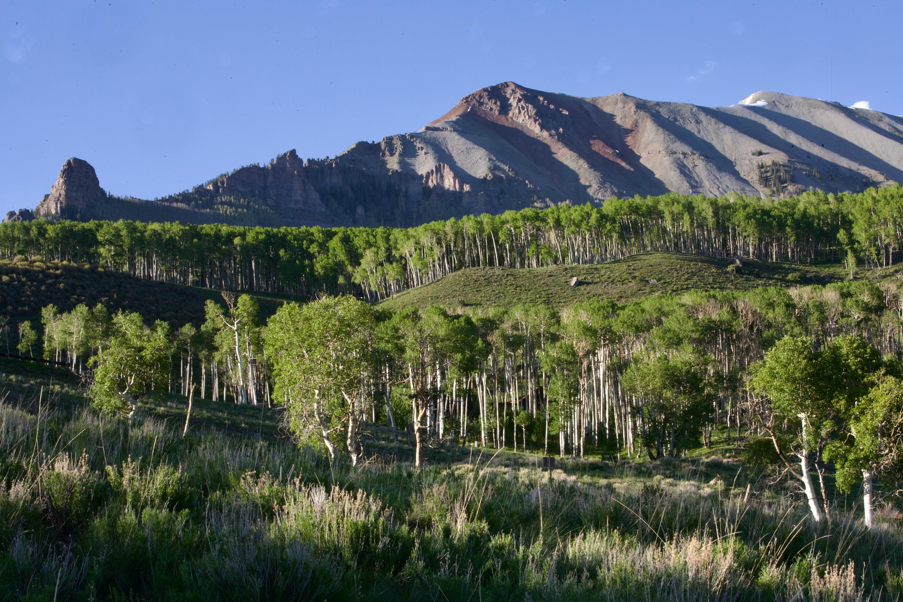 Lot 126 Aldasoro Ranch Telluride, CO 81435 - Photo 15 of 24 a view of a lush green field
