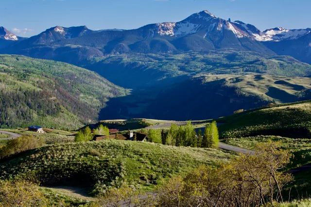 a view of a back yard