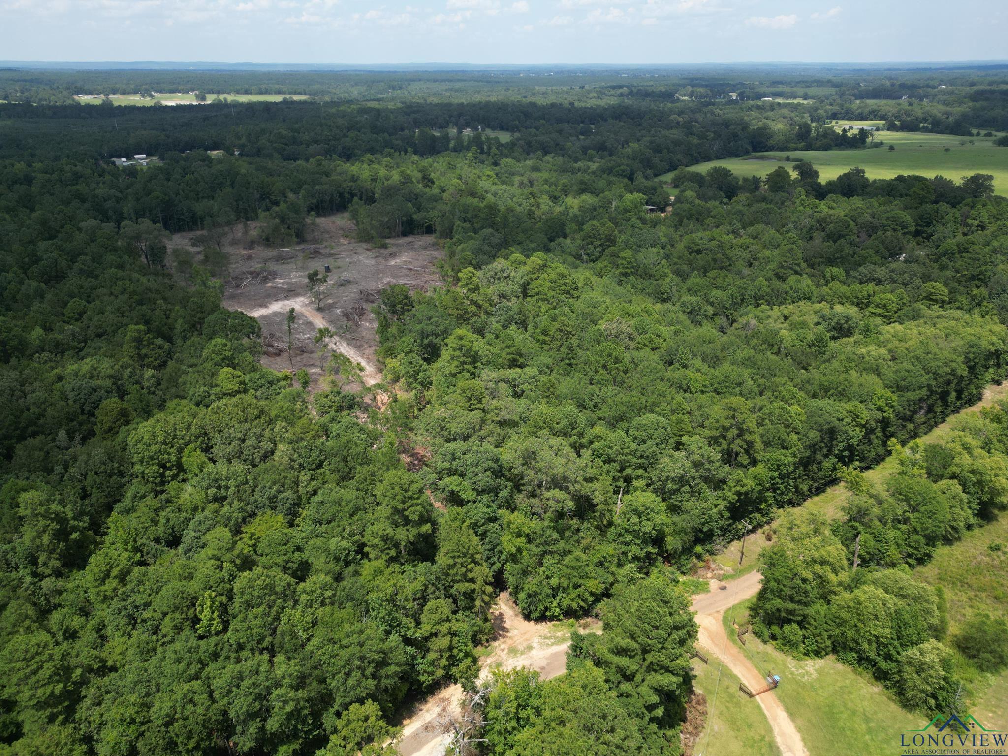 Flamingo Road Gilmer, TX 75645 - Photo 1 of 1 Gallery Image 1