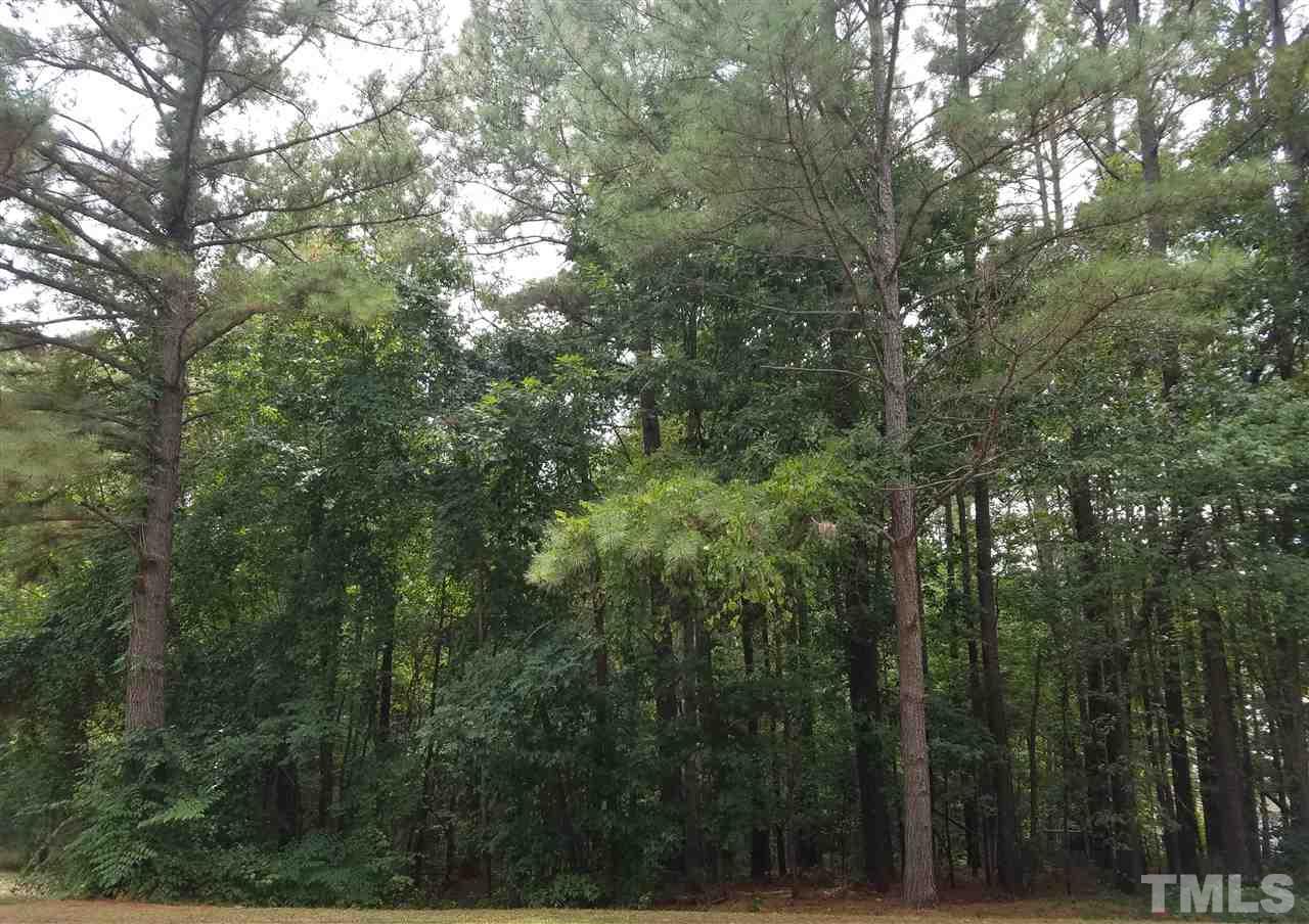 3305 Manor Ridge Drive Raleigh, NC 27603 - Photo 1 of 1 a view of a forest with trees in the background