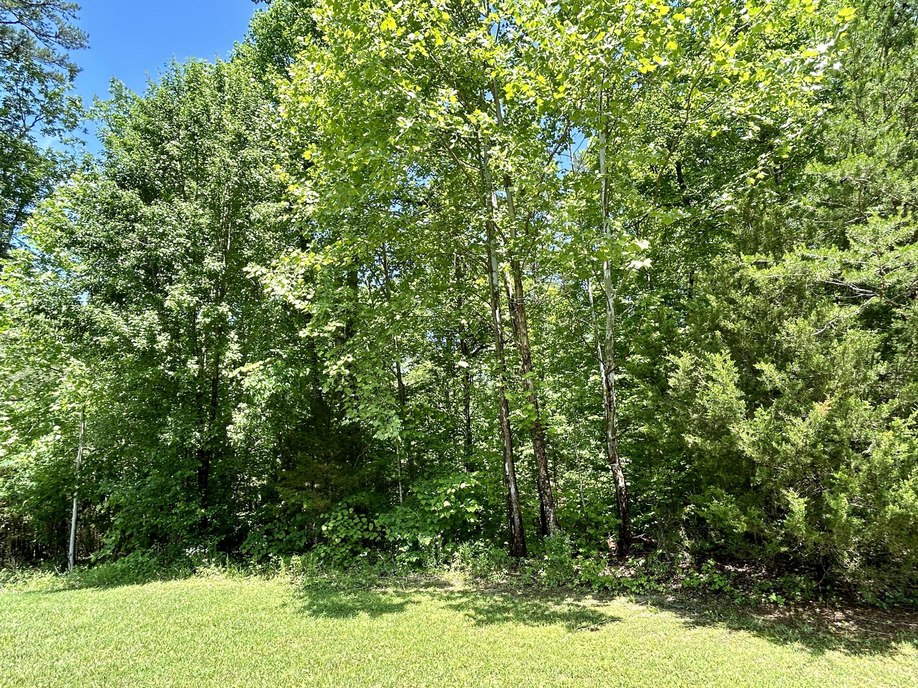 2780 Roberts Bend Road Burnside, KY 42519 - Photo 5 of 6 IMG_E1330