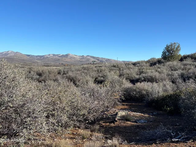 a view of a dry yard with mountains in the background