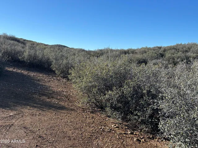a view of a dry yard with mountains in the background