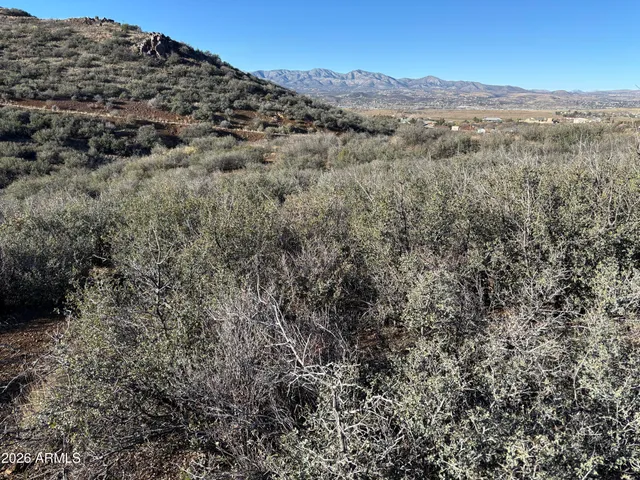 a view of a mountain range with trees in the background