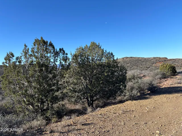 a view of a road with a snow in the background
