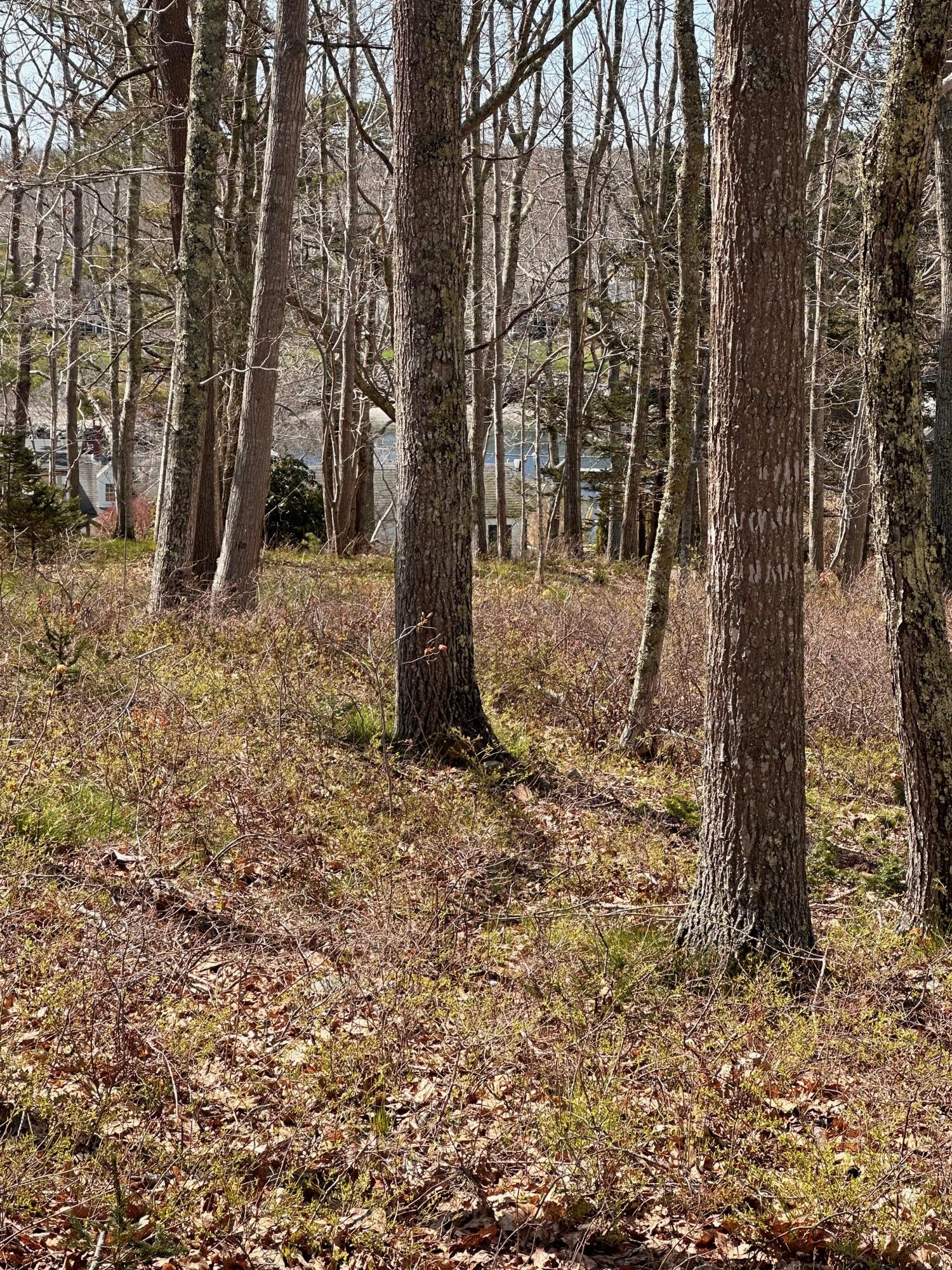 30 Gaffney Hill Road New Harbor, ME 04554 - Photo 1 of 10 IMG_6459