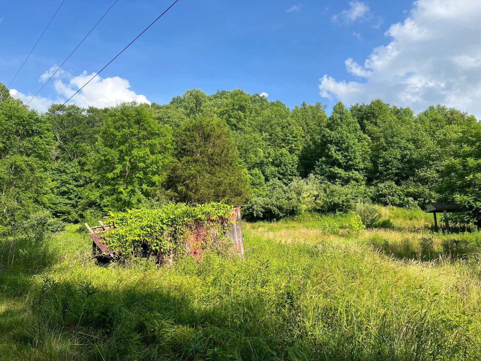 7762 Arrowhead Road Pound, VA 24279 - Photo 3 of 10 OLD SHED AND PART OF LOT