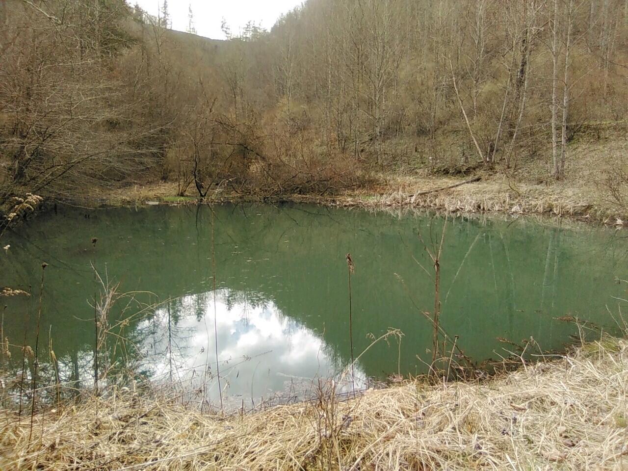 7762 Arrowhead Road Pound, VA 24279 - Photo 8 of 10 POND WITH VIEW OF MOUNTAIN IN BACKGROUND