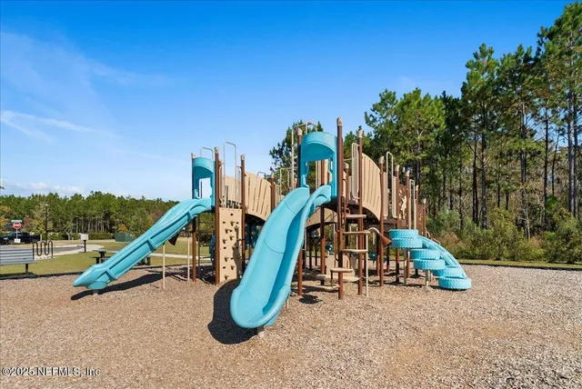 a view of a park with palm trees