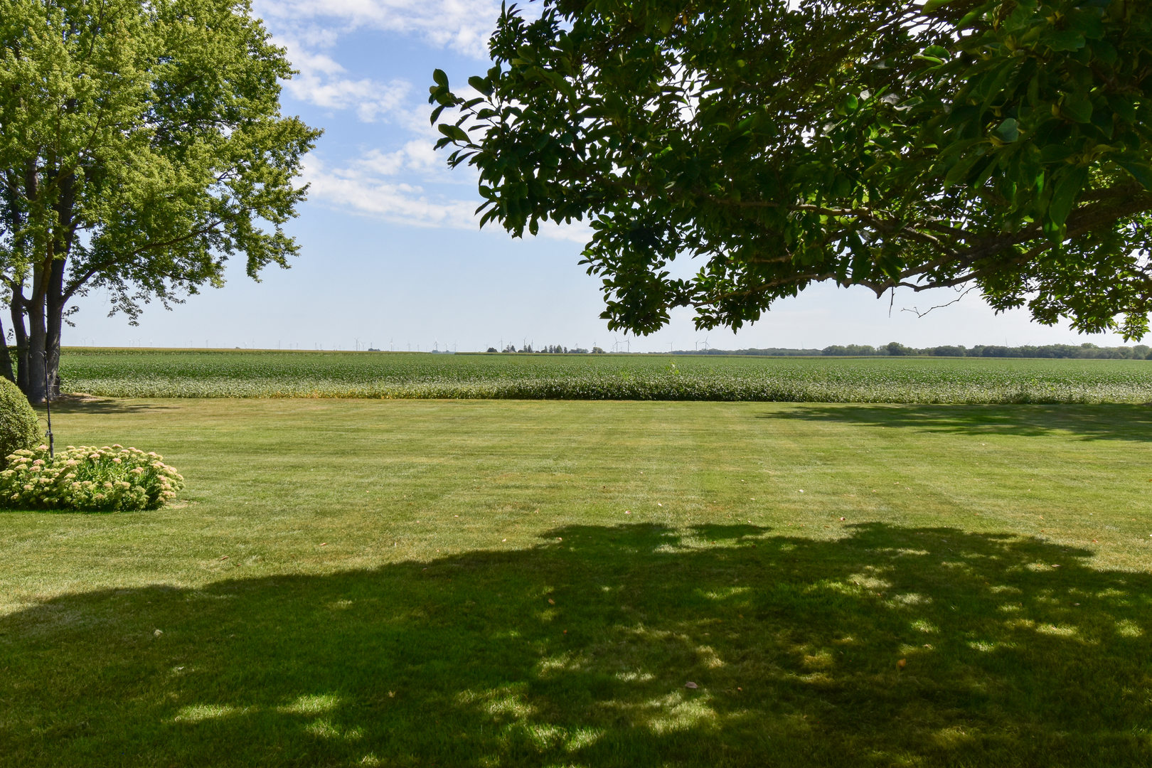 1542 East 18th Road Streator, IL 61364 - Photo 45 of 47 a view of an ocean from a yard