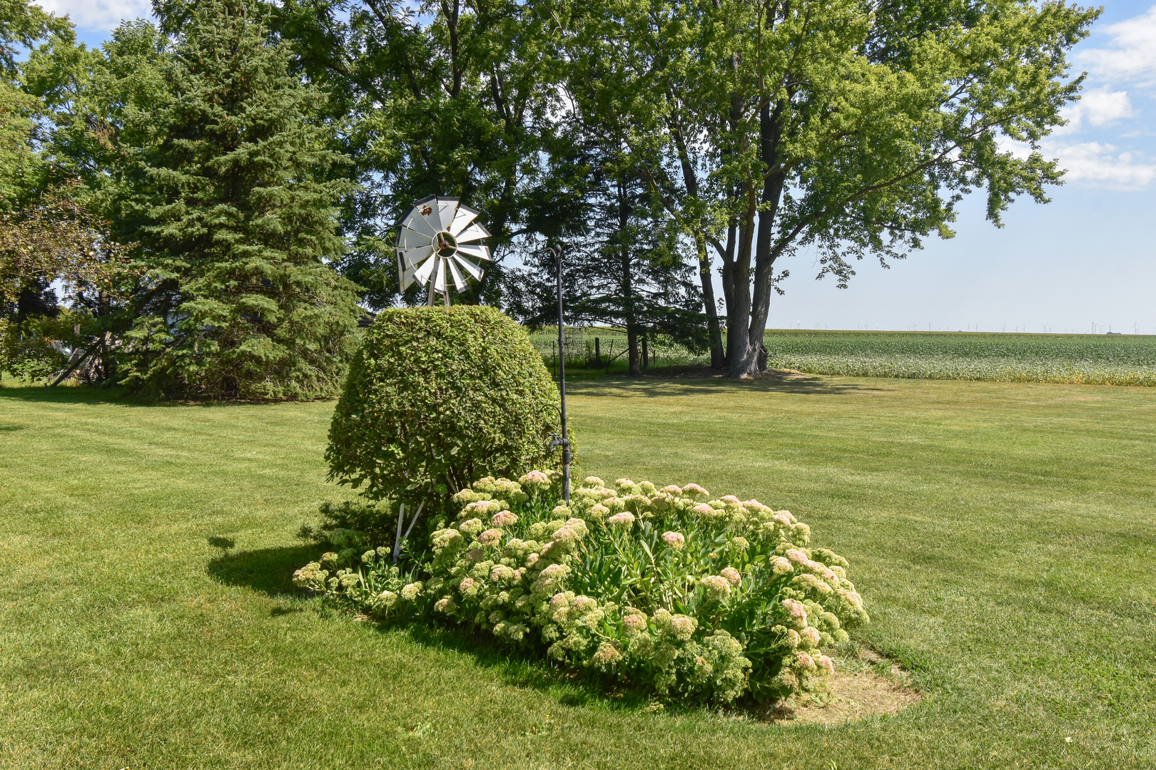 1542 East 18th Road Streator, IL 61364 - Photo 46 of 47 a view of a garden with a tree