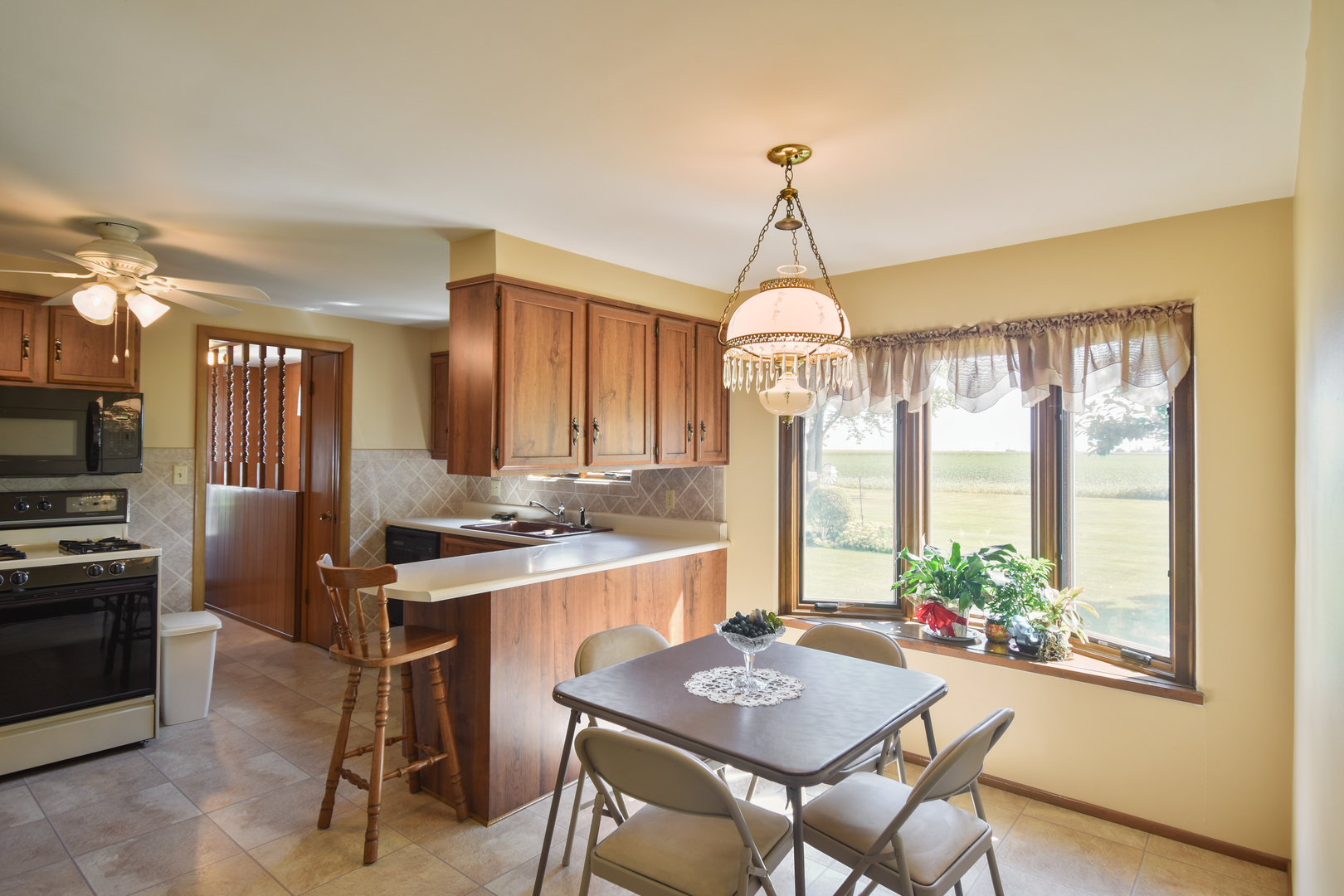 1542 East 18th Road Streator, IL 61364 - Photo 8 of 47 a view of a dining room with furniture window and outside view