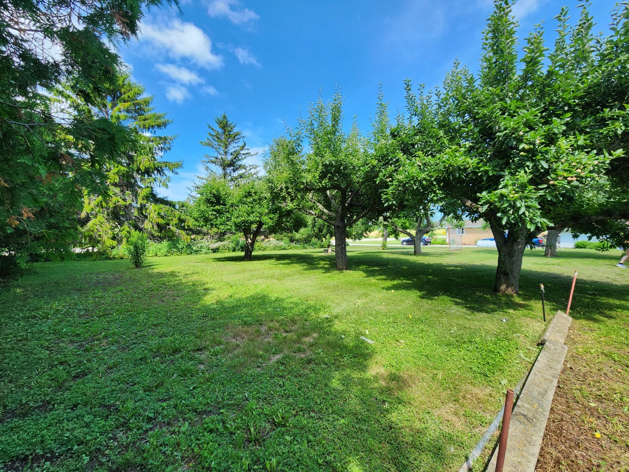 5609 Two Creeks Road Two Rivers, WI 54241 - Photo 29 of 45 Apple Orchard