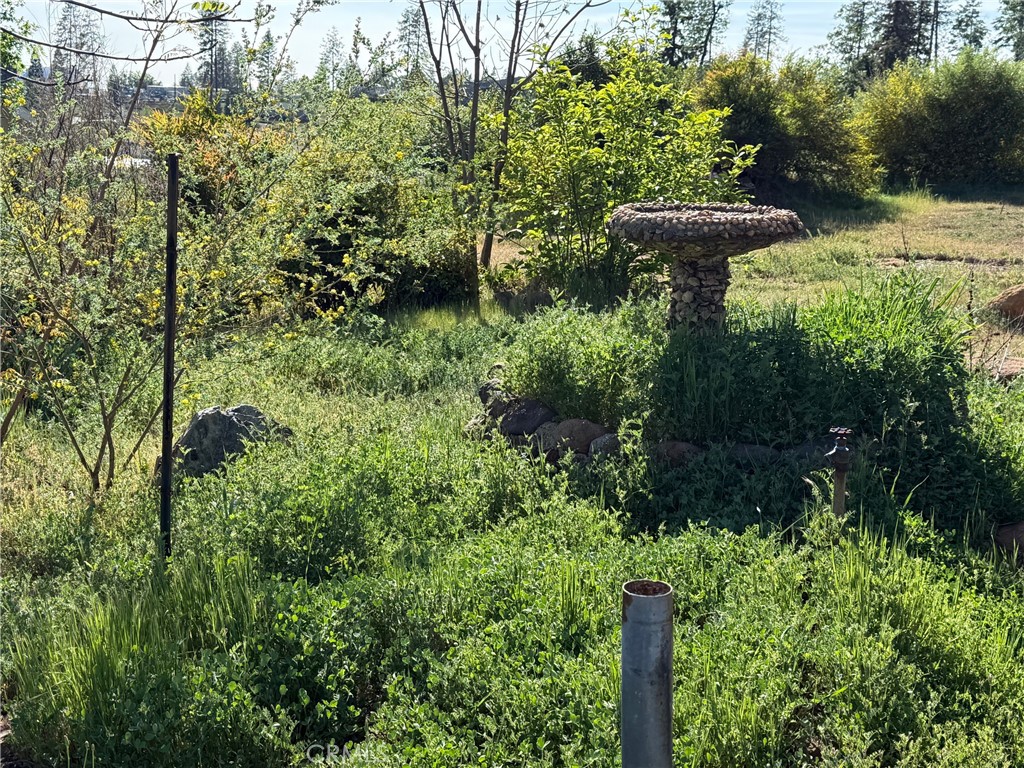5701 Newland Road Paradise, CA 95969 - Photo 4 of 11 a view of a garden with plants