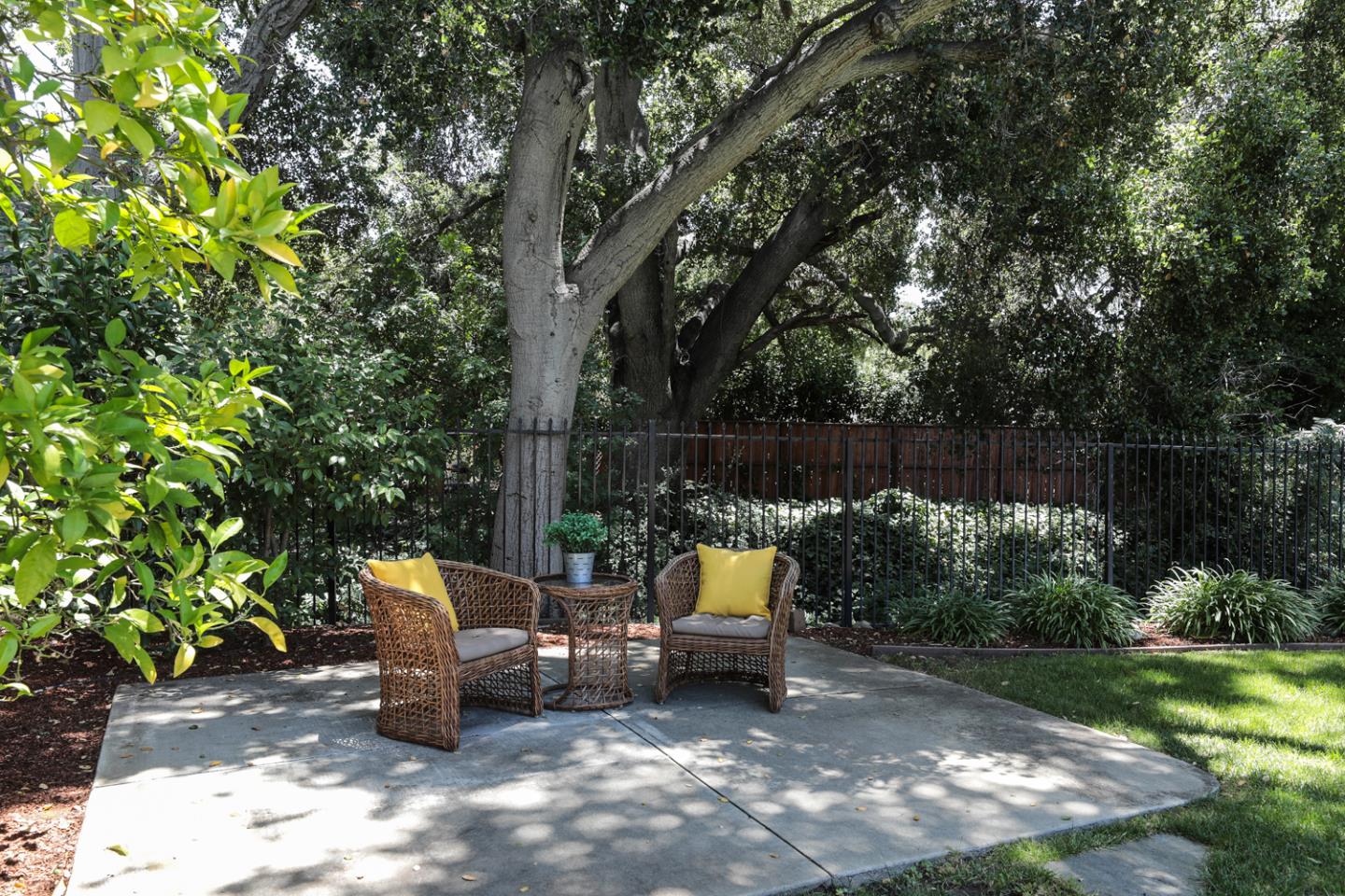 825 Parma Way Los Altos, CA 94024 - Photo 30 of 35 a view of a bench in the backyard