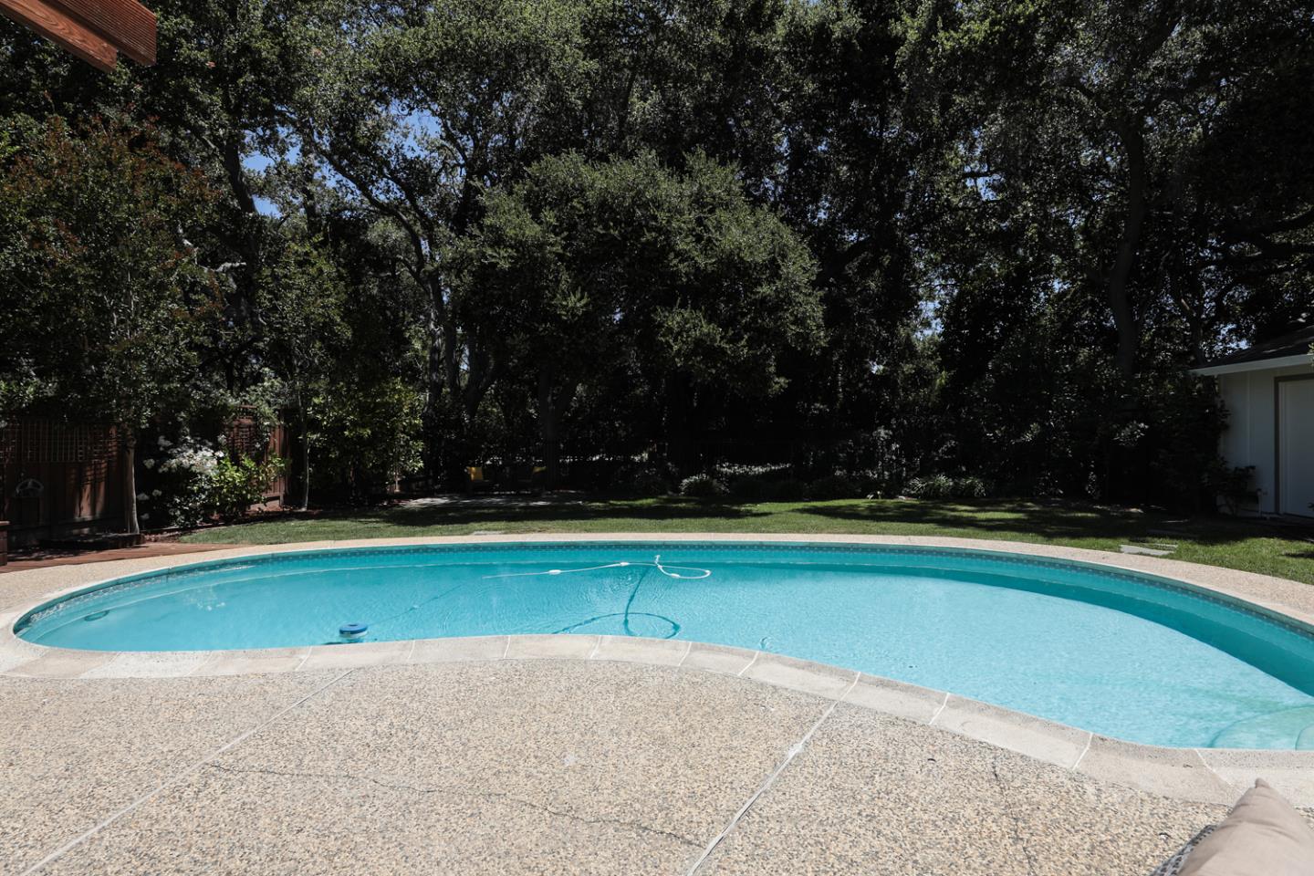 825 Parma Way Los Altos, CA 94024 - Photo 31 of 35 a view of swimming pool with large trees