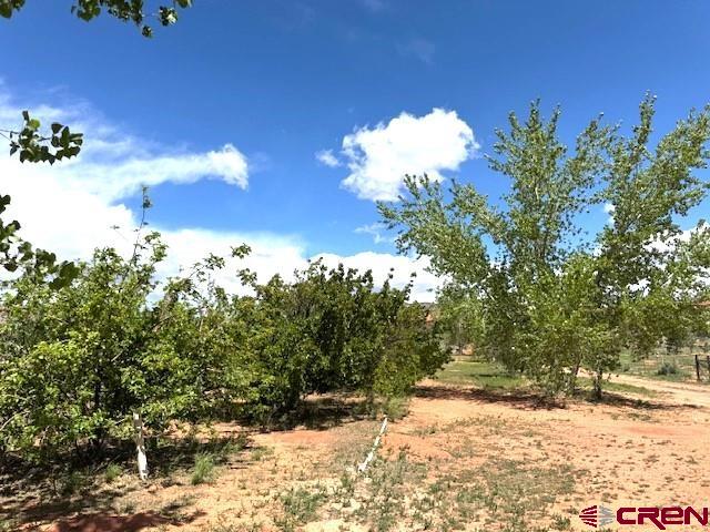 12427 Rd G Cortez, CO 81321 - Photo 31 of 35