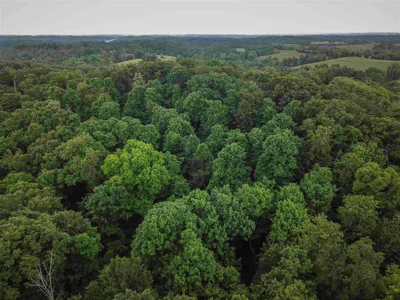 1660 Owenton Road Corinth, KY 41010 - Photo 5 of 24 Gallery Image 5