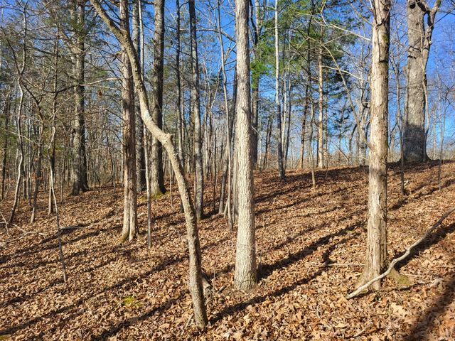 $2,300,000 | 7332 C C C Road, Fairview, TN 37062