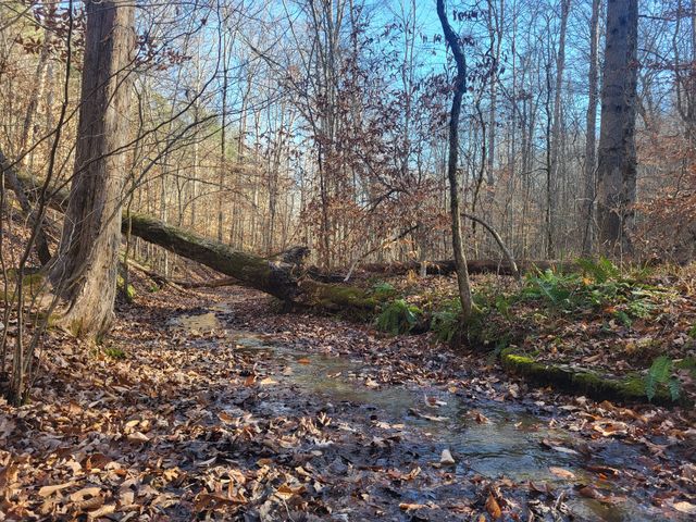 $2,300,000 | 7332 C C C Road, Fairview, TN 37062