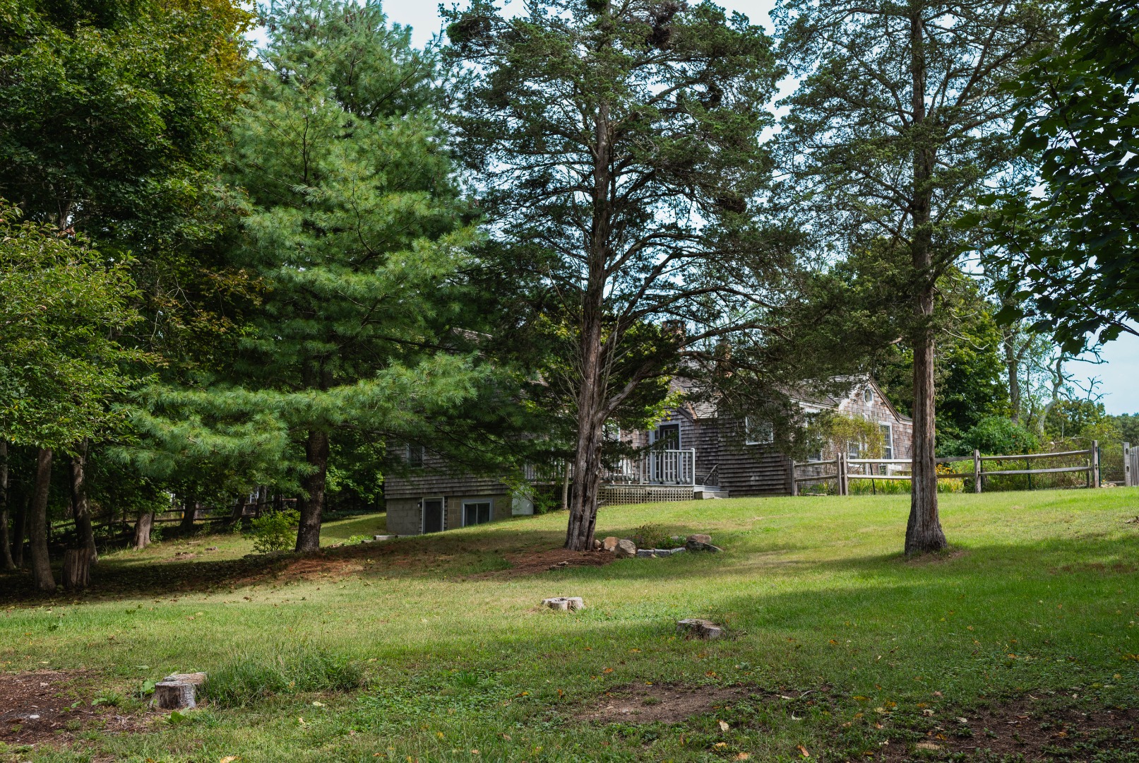 10 Danls Way West Tisbury, MA 02568 - Photo 33 of 41 a view of a park with large trees