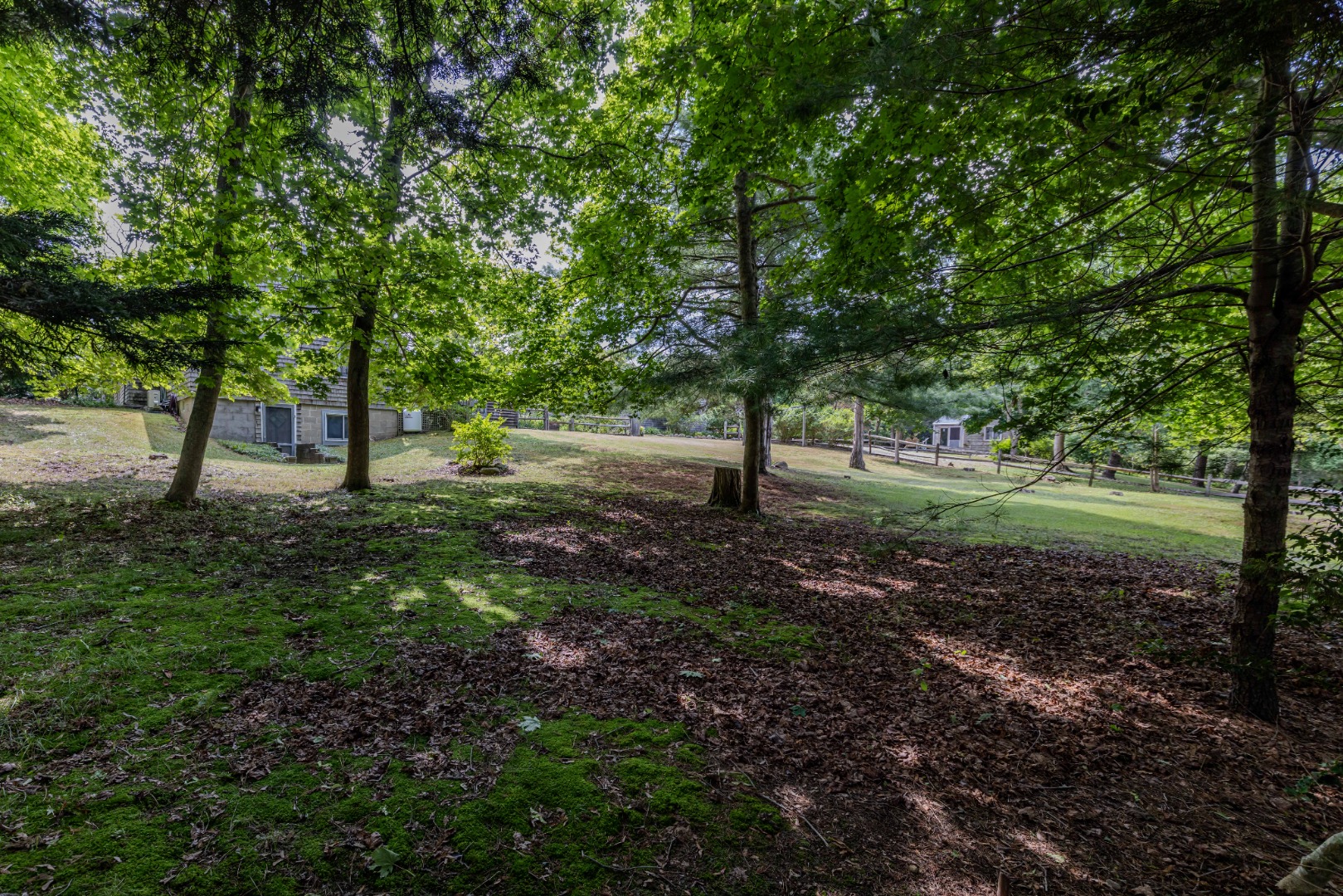 10 Danls Way West Tisbury, MA 02568 - Photo 40 of 41 a view of a yard with a tree