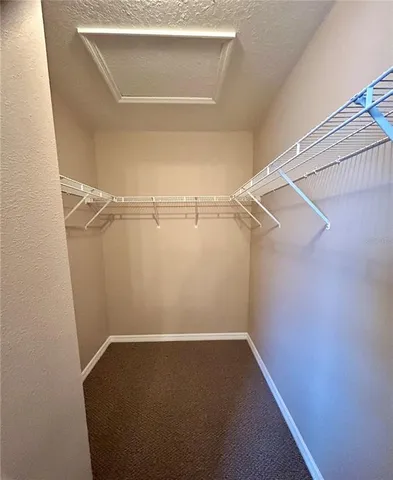 a view of a yard with a large tree