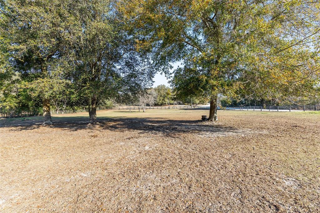 825 Northeast 165th Street Citra, FL 32113 - Photo 35 of 62 a view of dirt yard with a tree
