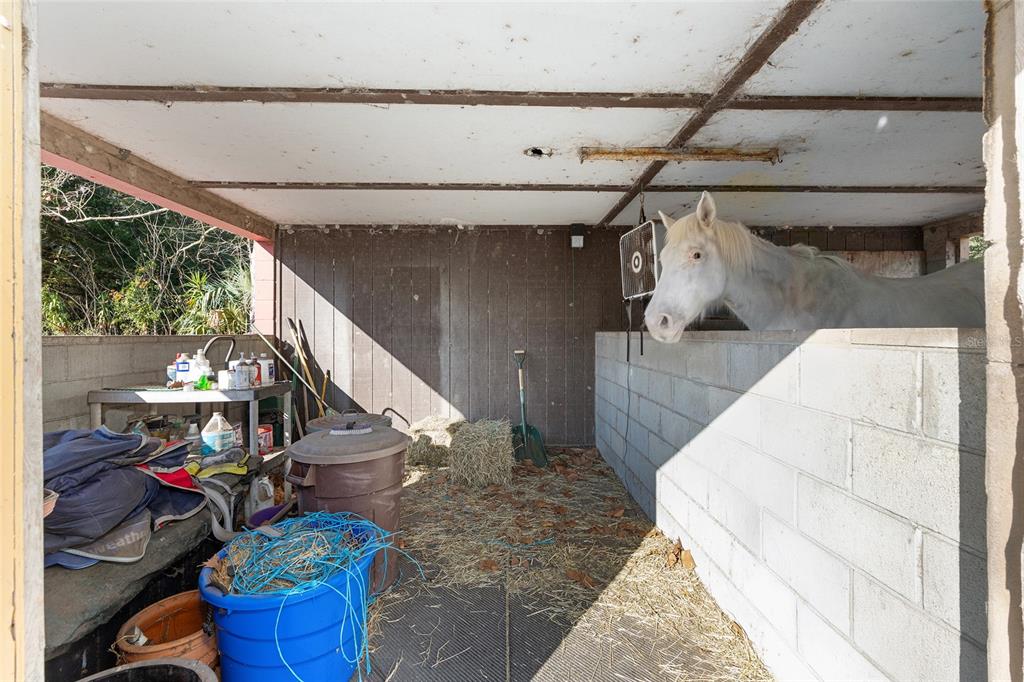 825 Northeast 165th Street Citra, FL 32113 - Photo 36 of 62