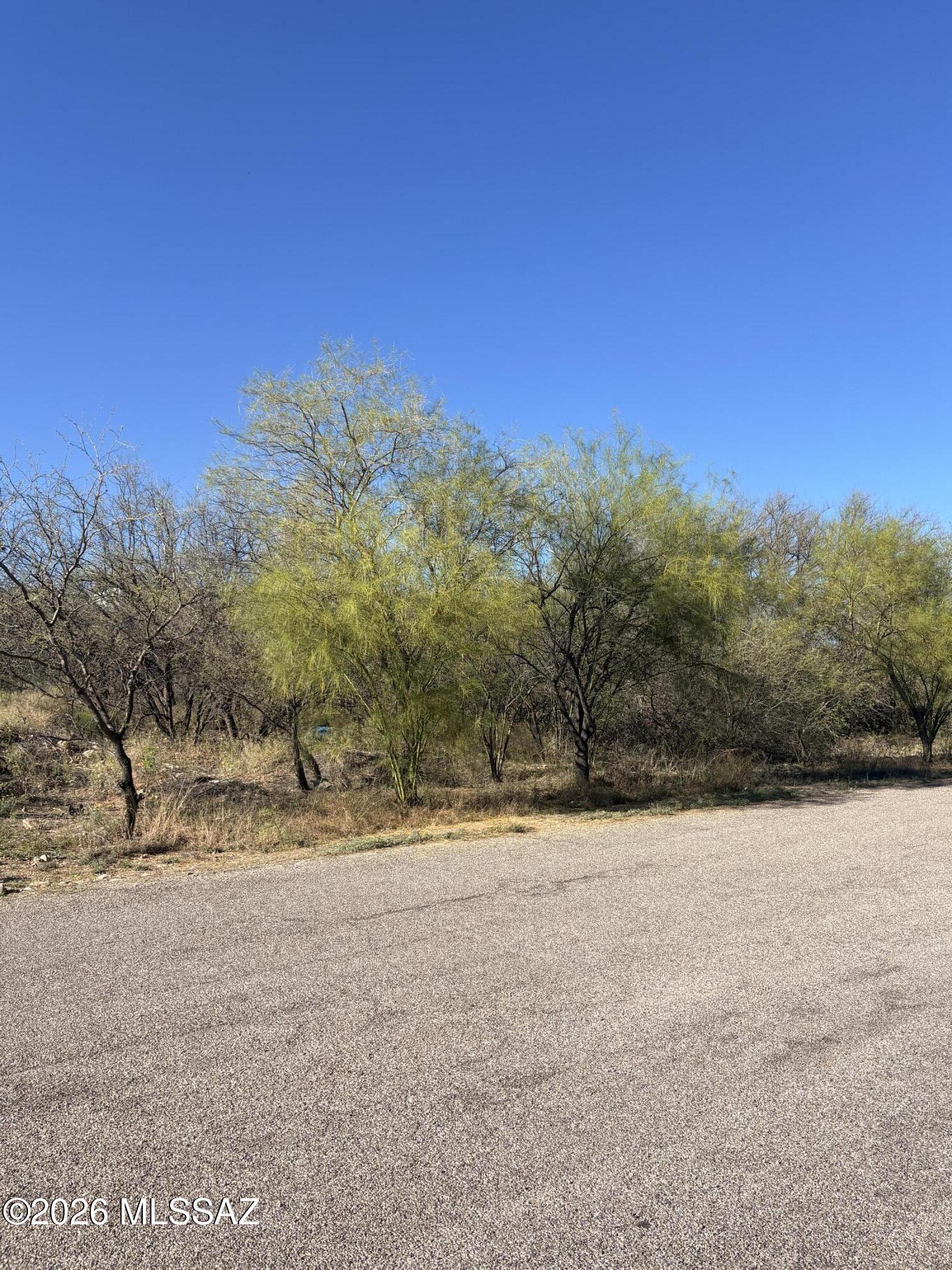 412 Wrightson Street, Unit 3 Rio Rico, AZ 85648 - Photo 4 of 5 a view of a yard with a tree
