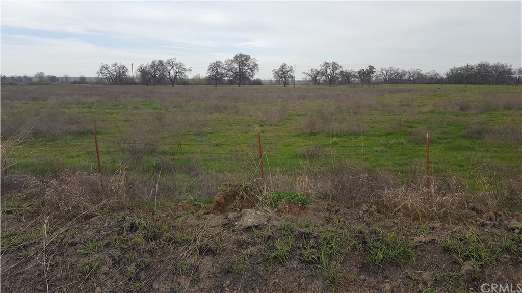 0 Simpson Road Corning, CA 96021 - Photo 1 of 7