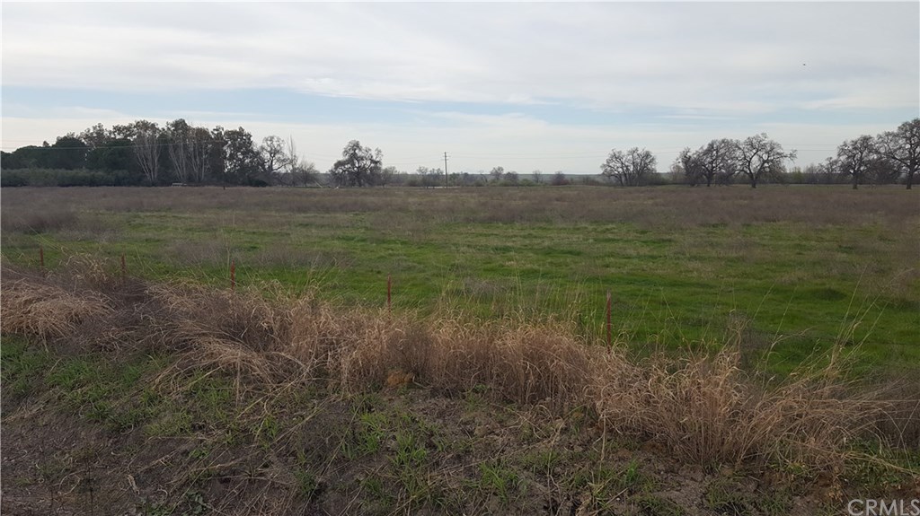 0 Simpson Road Corning, CA 96021 - Photo 4 of 7