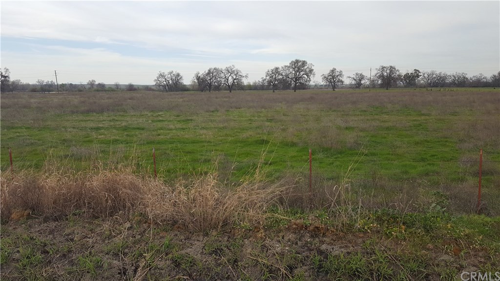 0 Simpson Road Corning, CA 96021 - Photo 5 of 7