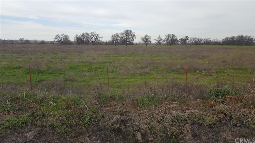 0 Simpson Road Corning, CA 96021 - Photo 6 of 7
