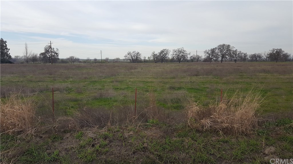 0 Simpson Road Corning, CA 96021 - Photo 7 of 7
