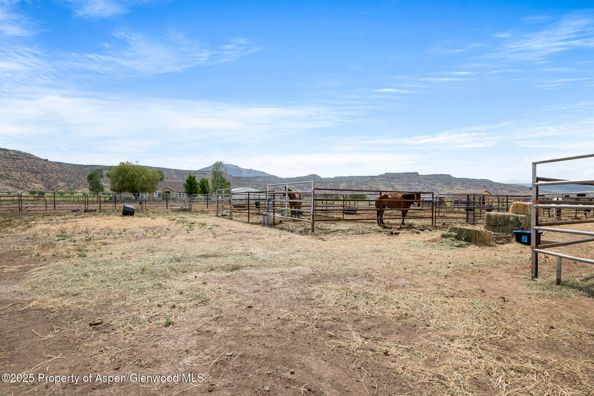 2022 45 Road De Beque, CO 81630 - Photo 23 of 55 MLS Online Version -38
